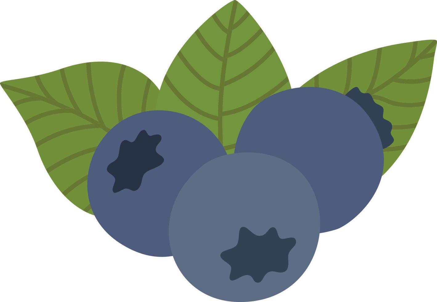 Vector blueberry illustration