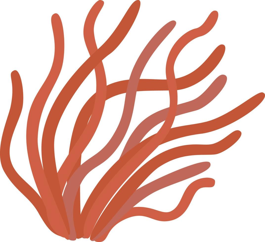 Sea plants, aquatic marine algae, seaweed vector