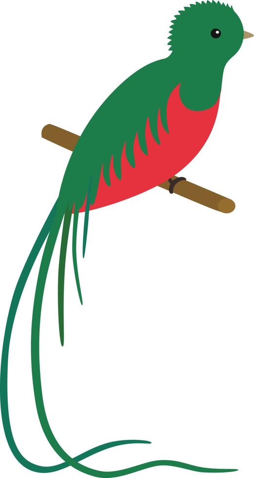 vector illustration of a resplendent quetzal pharomachrus mocinno, sitting on a branch