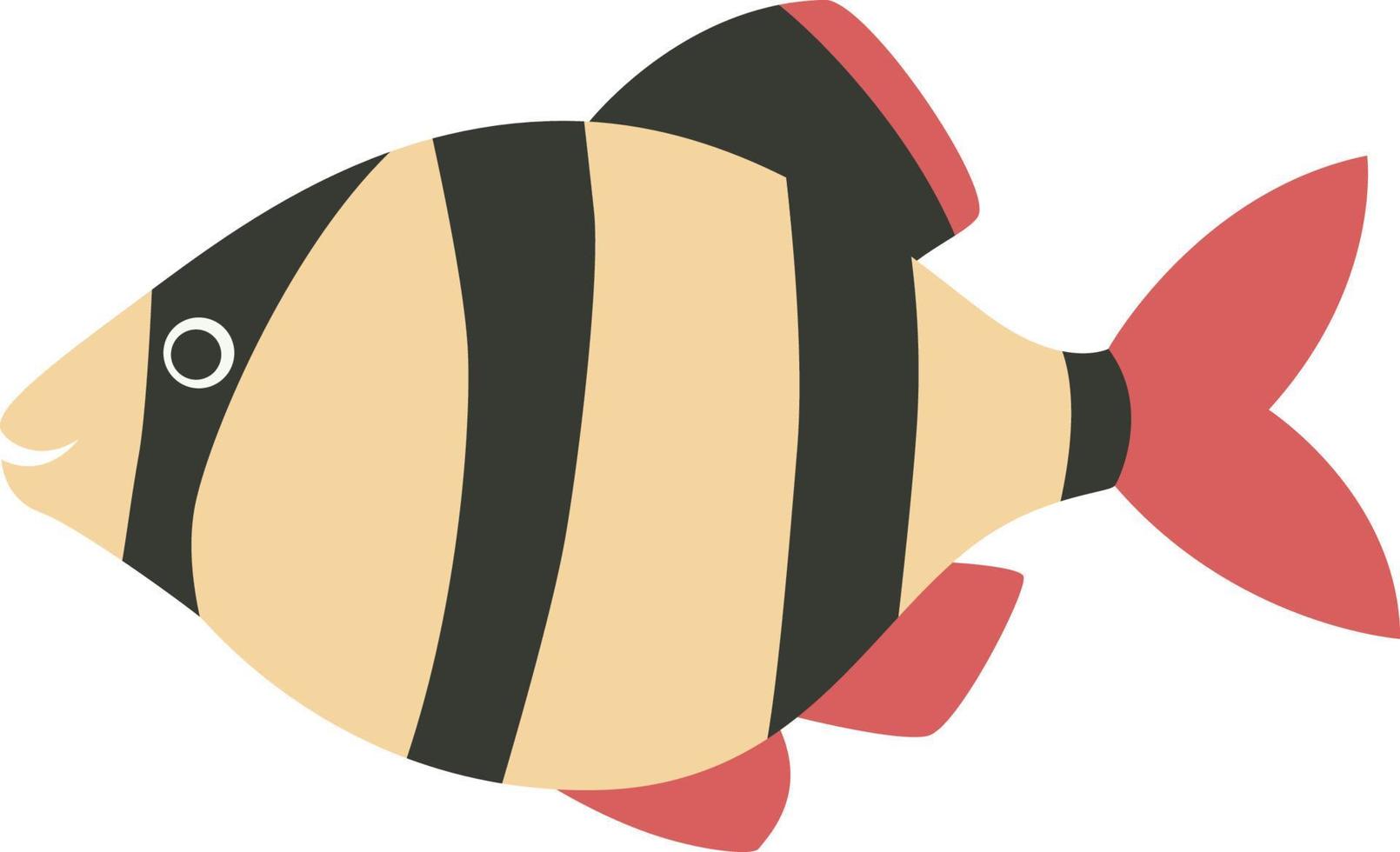 Barbus fish illustration vector