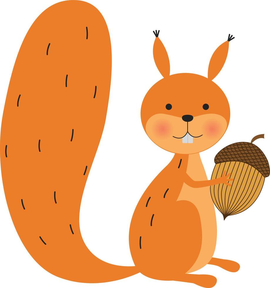 happy squirrel with acorn vector