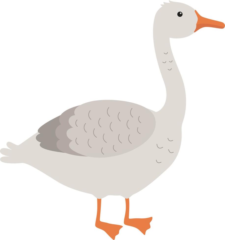 Goose illustration poultry vector