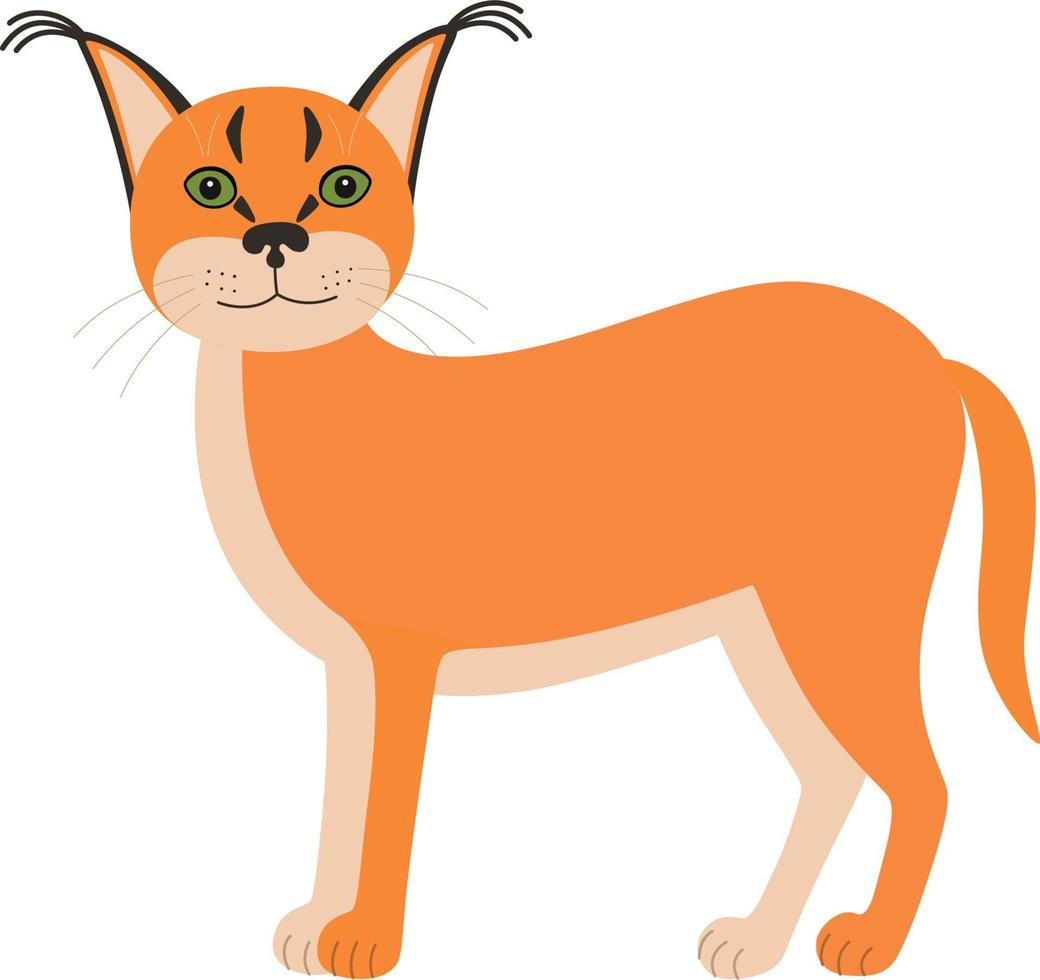 Cute animals caracal. vector