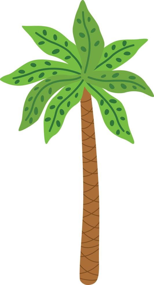 Palm tree illustration vector