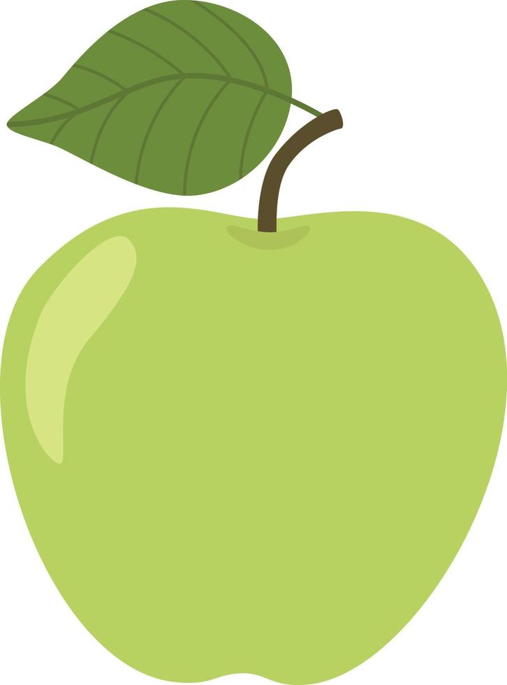 Apple fruit illustration vector
