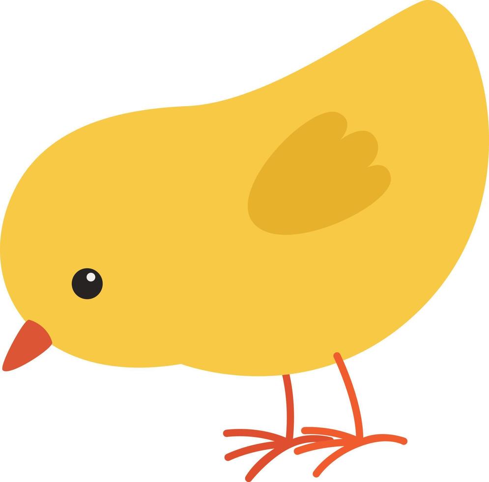 chicken yellow illustration vector