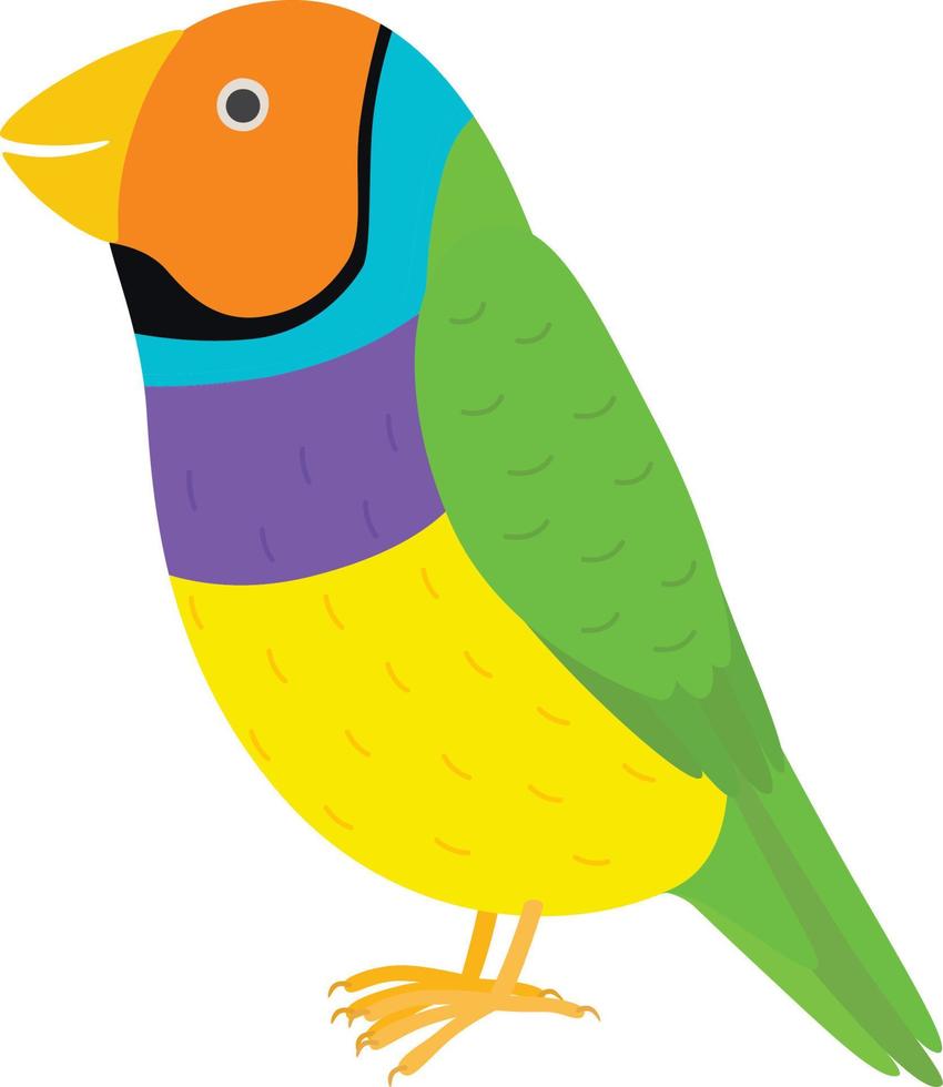 Amadina finch gouldian finch, erythrura gouldiae bird. vector