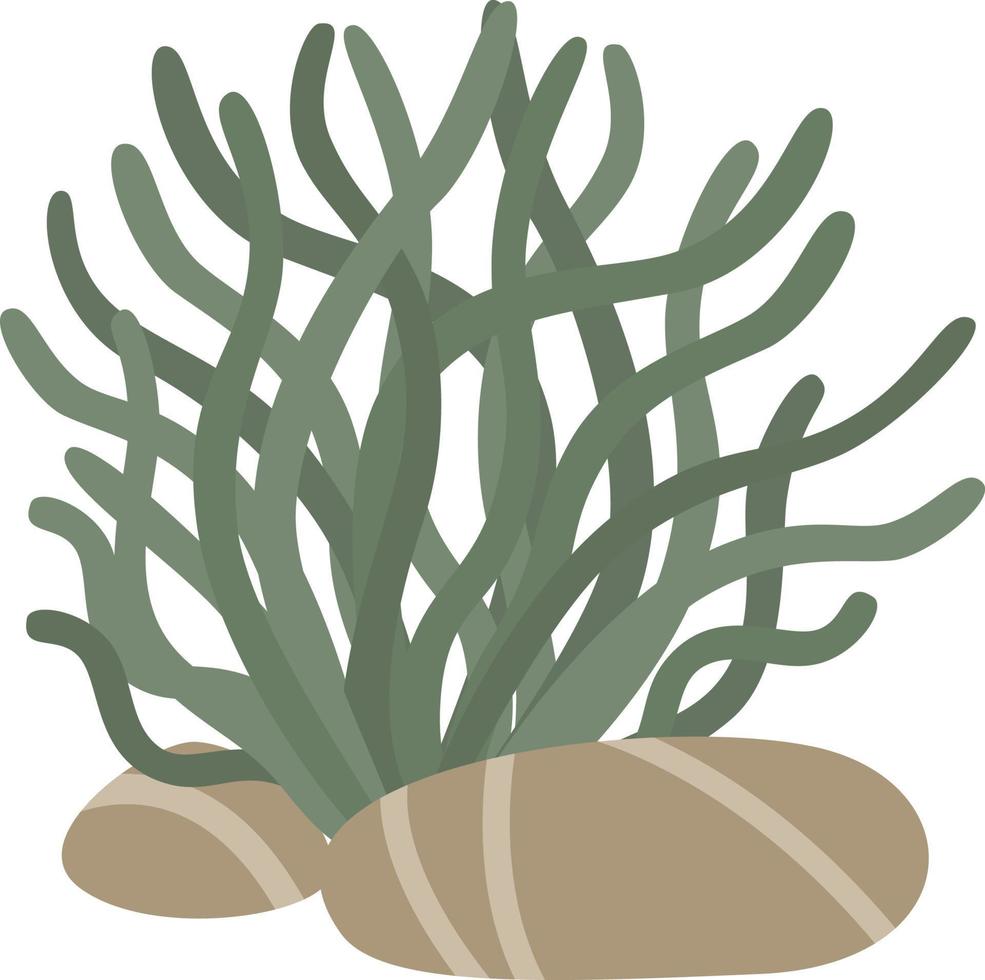 Sea plants, aquatic marine algae, seaweed vector