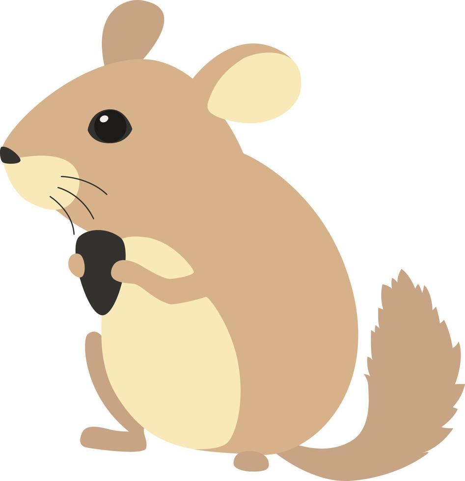 Cute chinchilla with sunflower seeds in his paws. vector