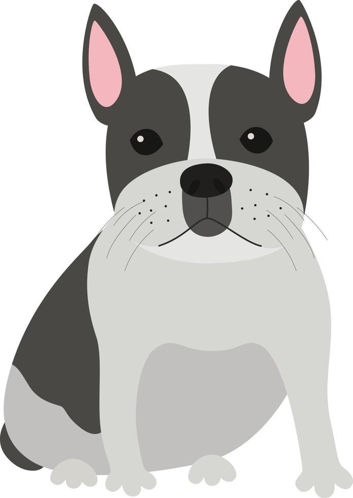 Pug Puppy dog vector