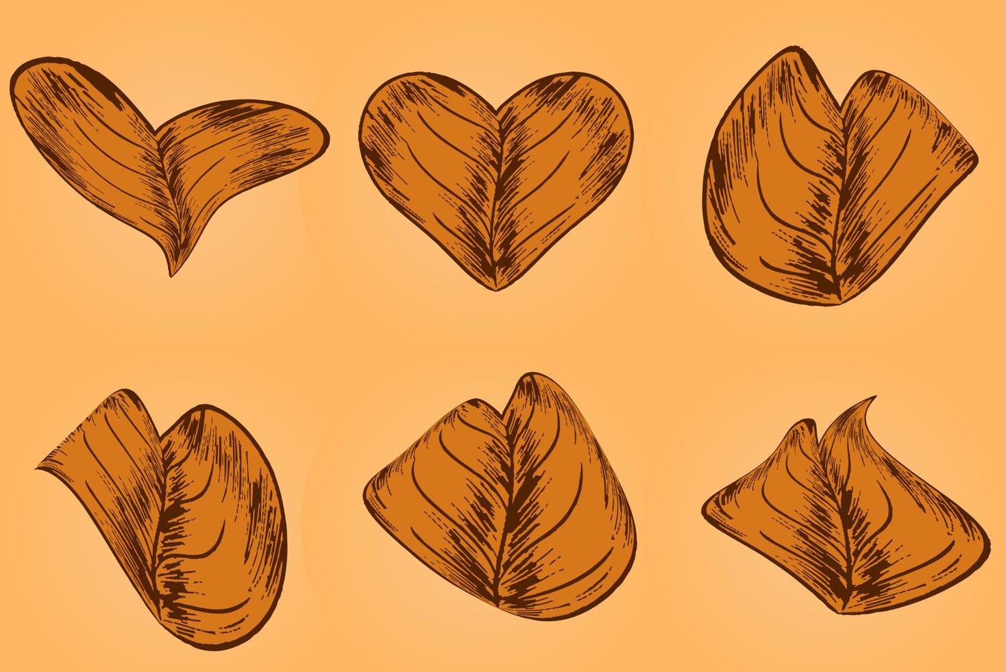 Set of autumn brown leaves - fallen leaf vector