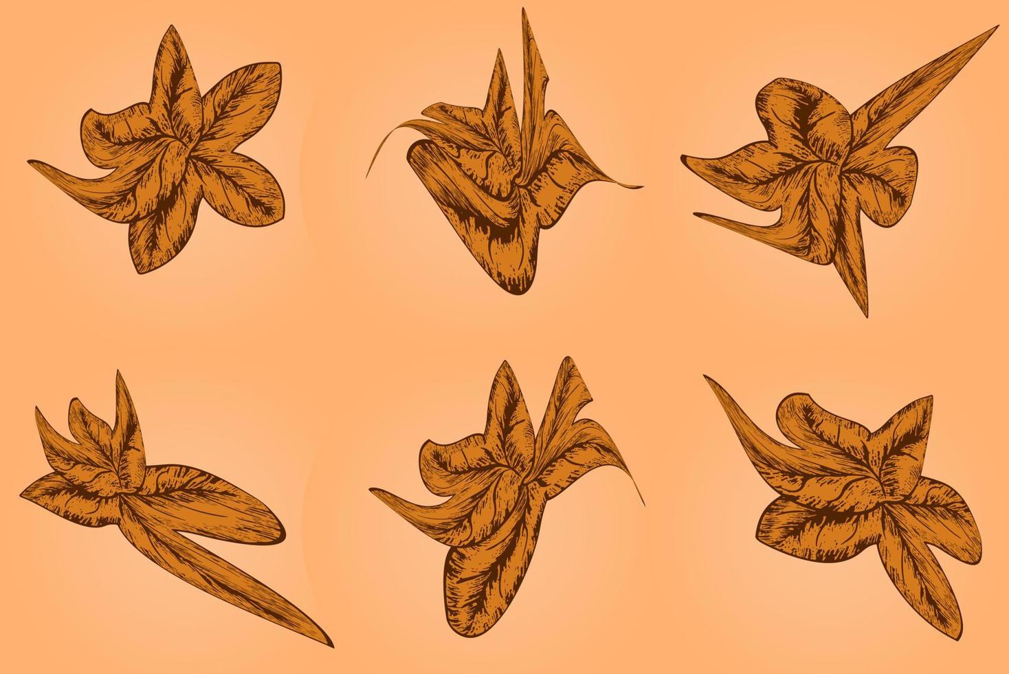 Set of autumn brown leaves - fallen leaf vector