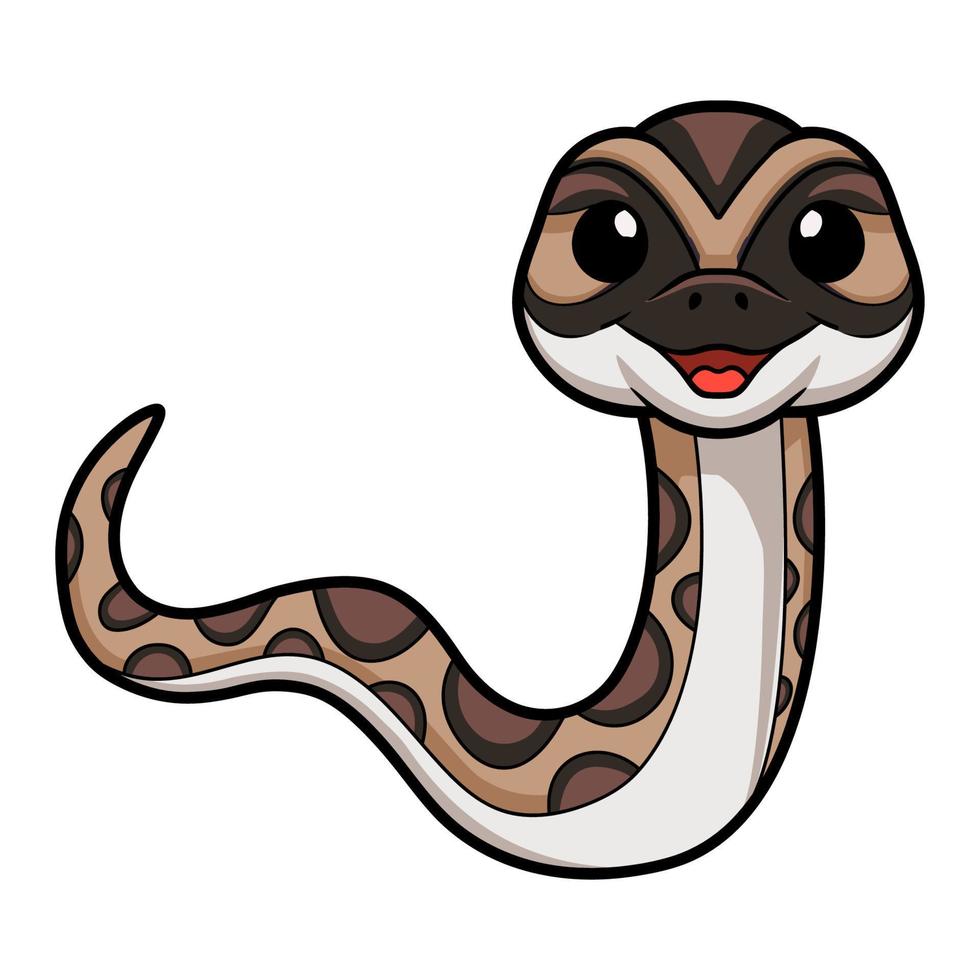 Cute python molurus bivittatus cartoon vector