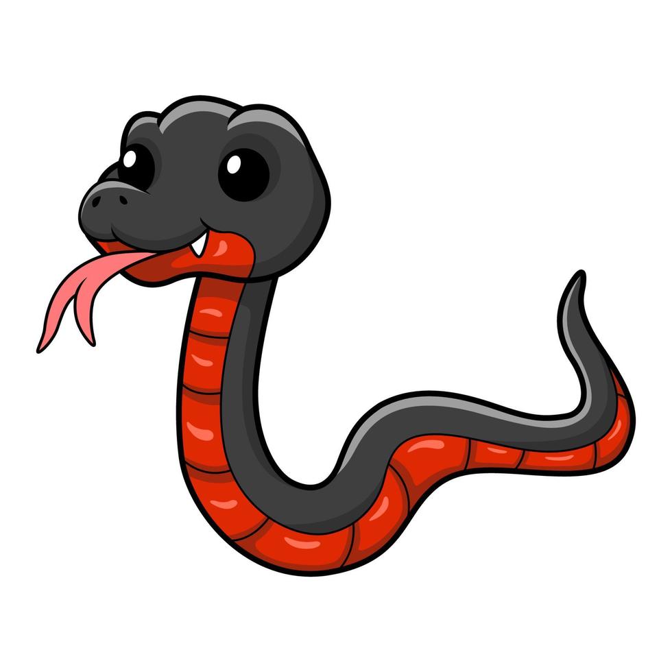 Cute red bellied black snake cartoon vector