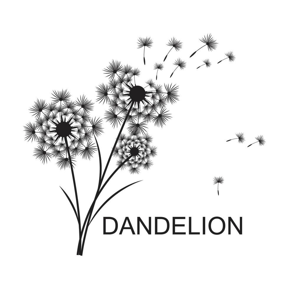 Dandelion flower logo vector and symbol template