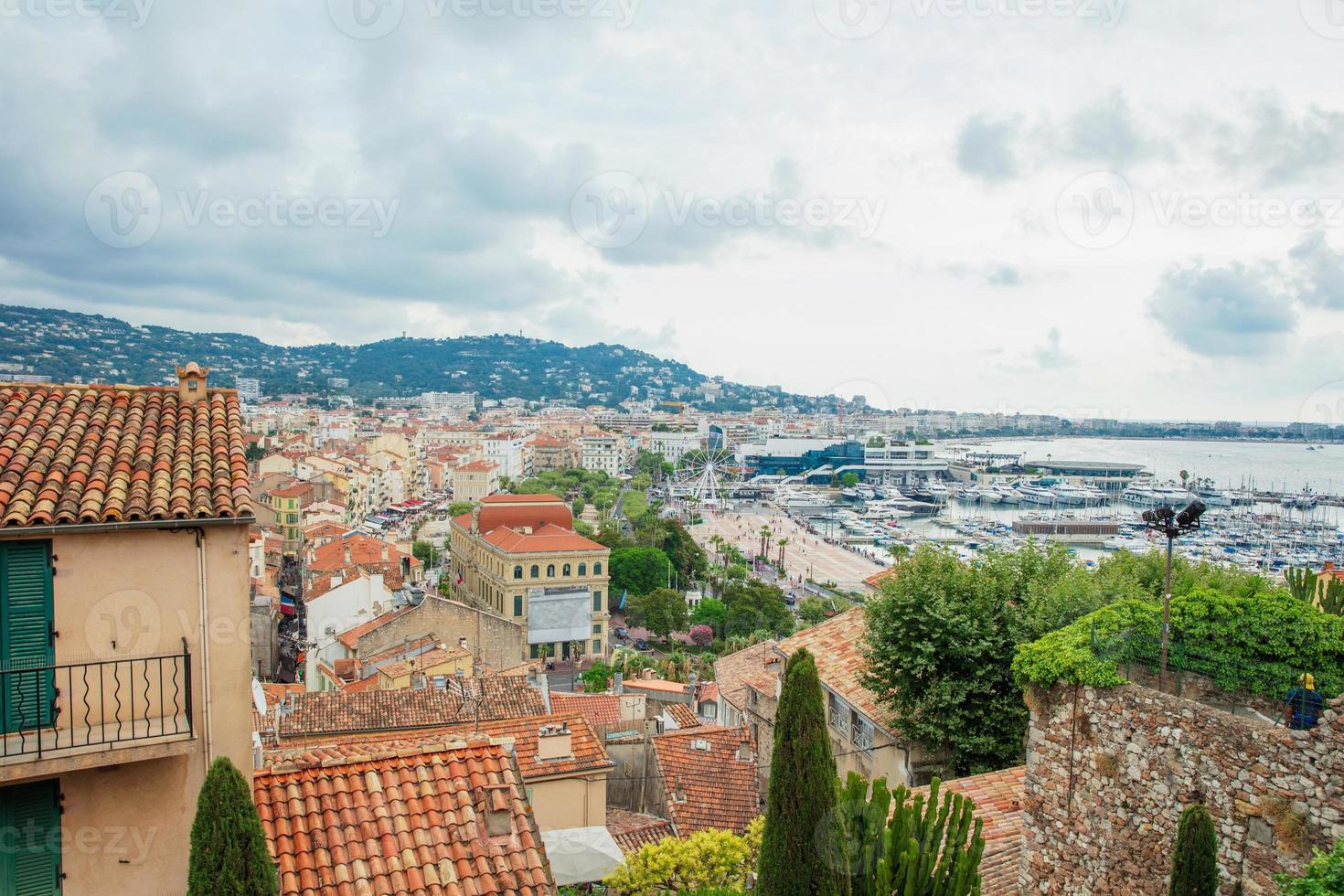 View of the marina in Cannes photo