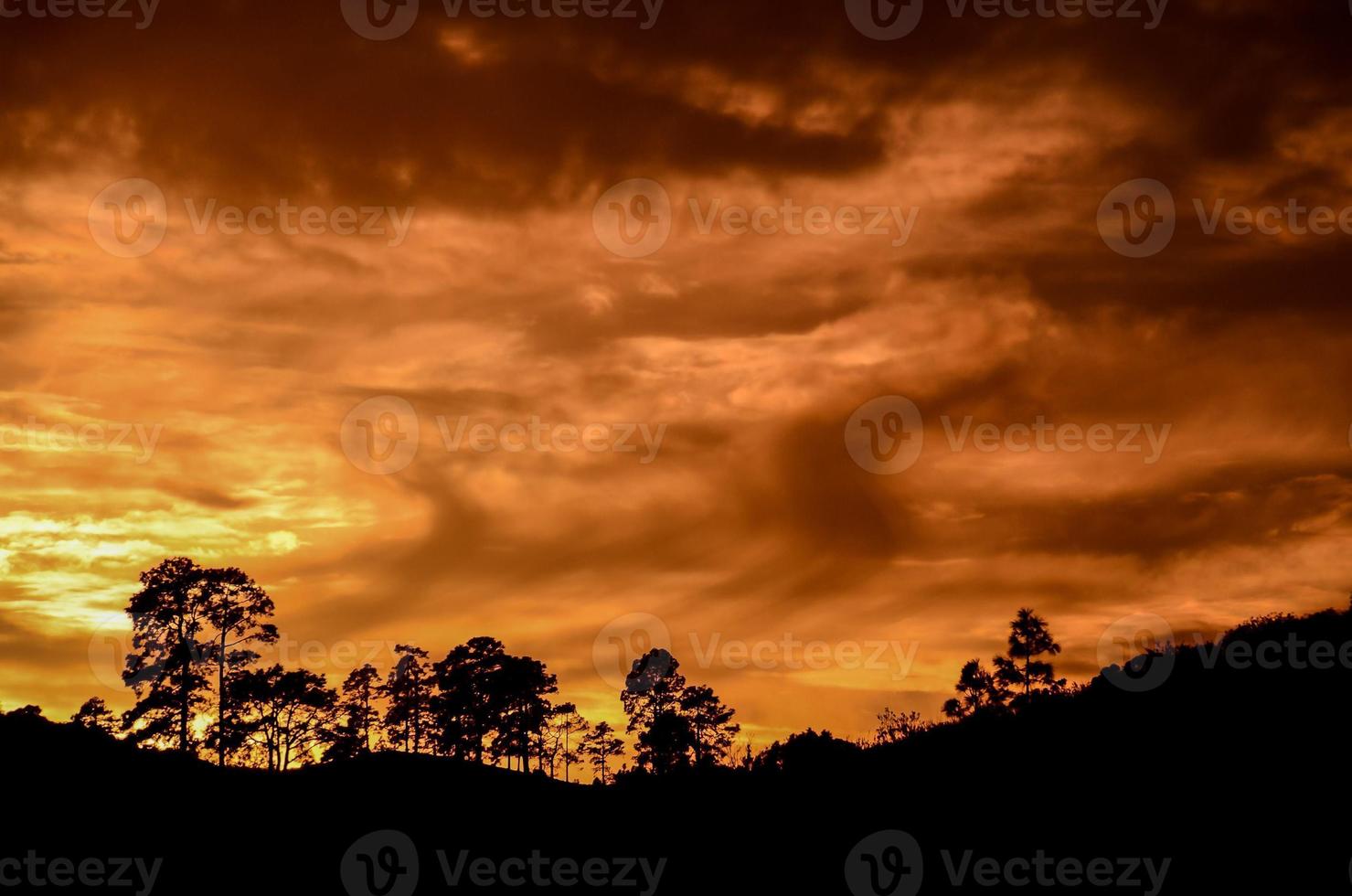 Scenic sunset landscape photo