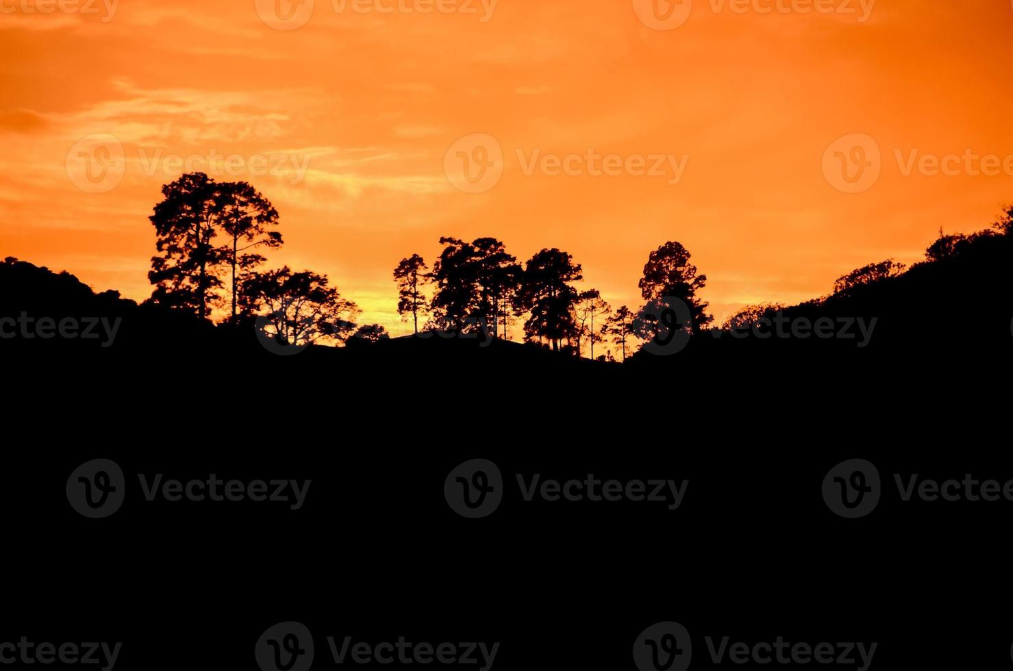 Beautiful sunset landscape photo