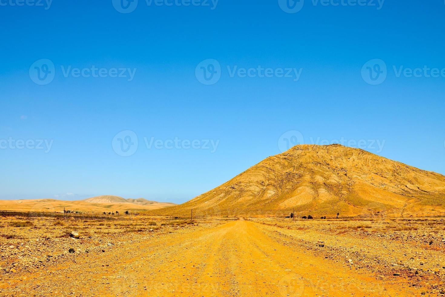 Scenic desert landscape photo