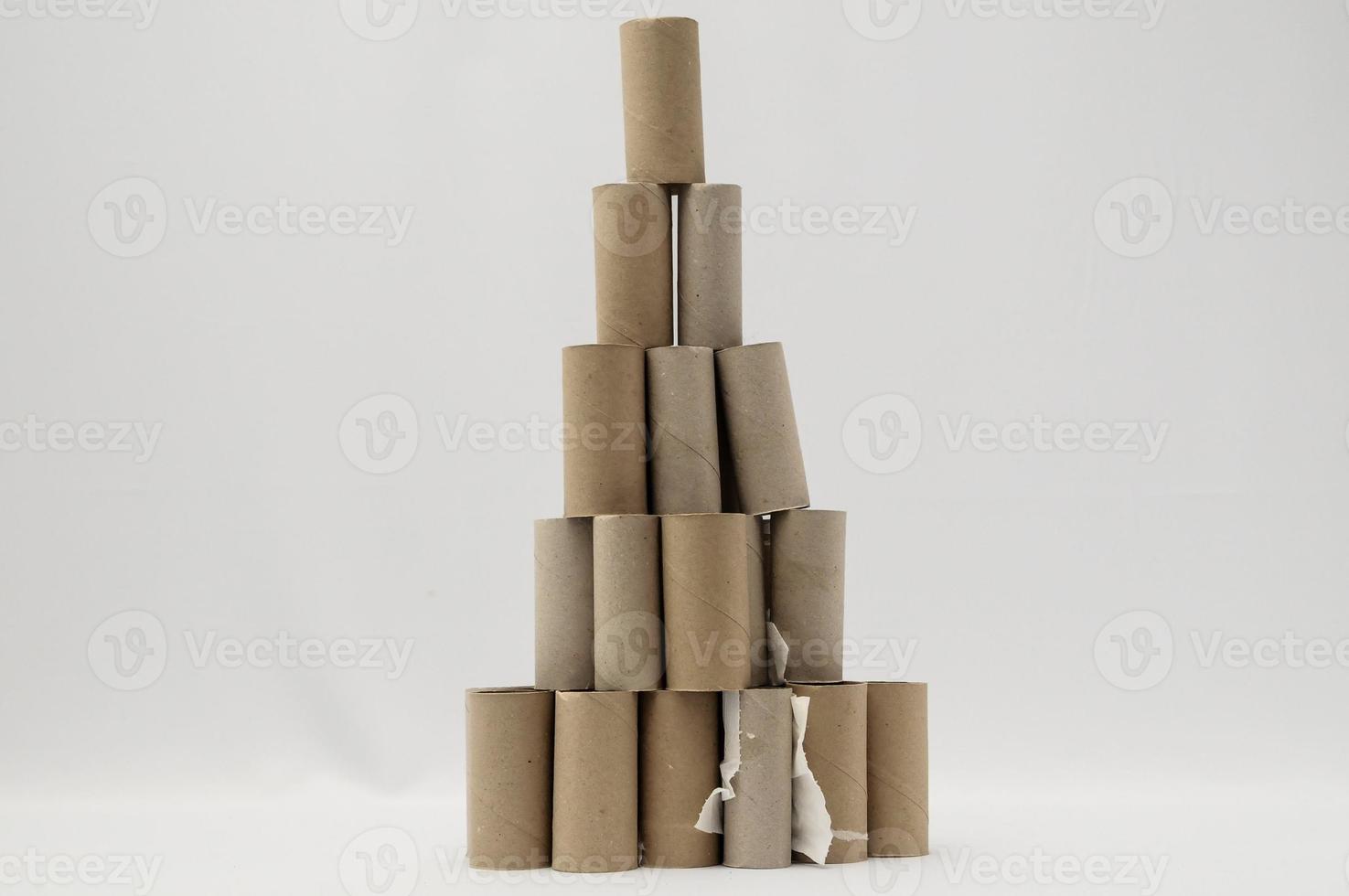 Toilet paper rolls photo