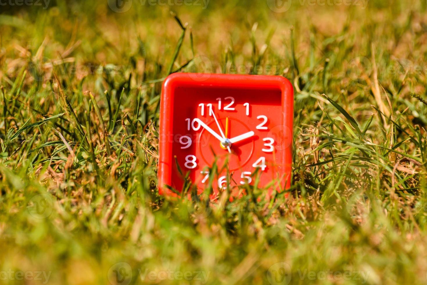Red clock in grass photo