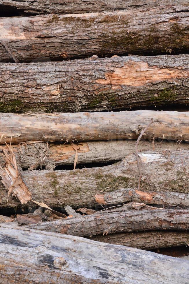 Wooden log background 20130692 Stock Photo at Vecteezy