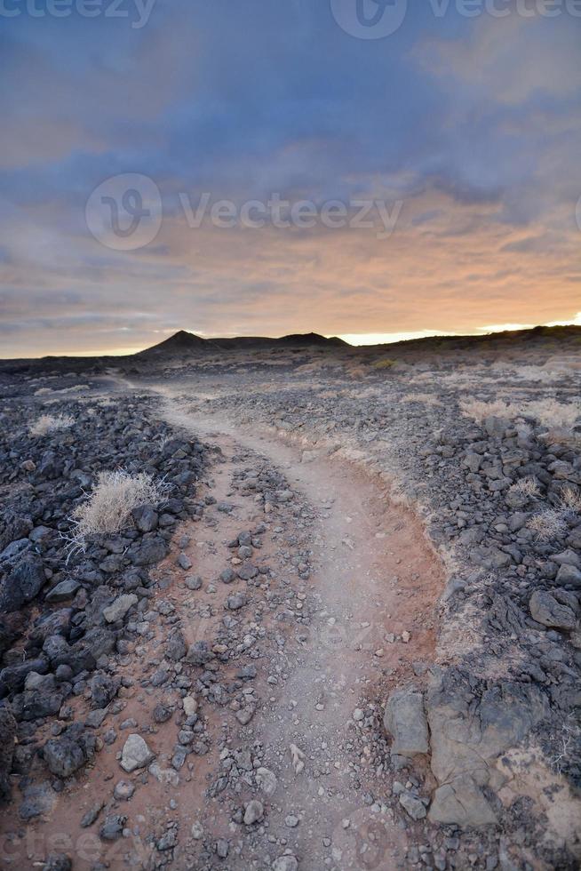 Path in the desert at sunset photo