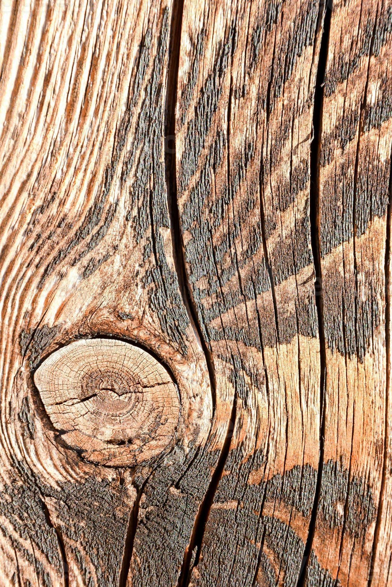 Rough wood texture 20131084 Stock Photo at Vecteezy