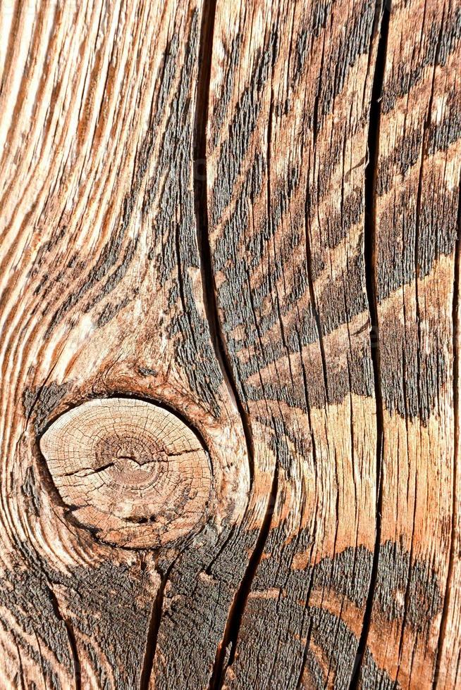 Rough wood texture photo