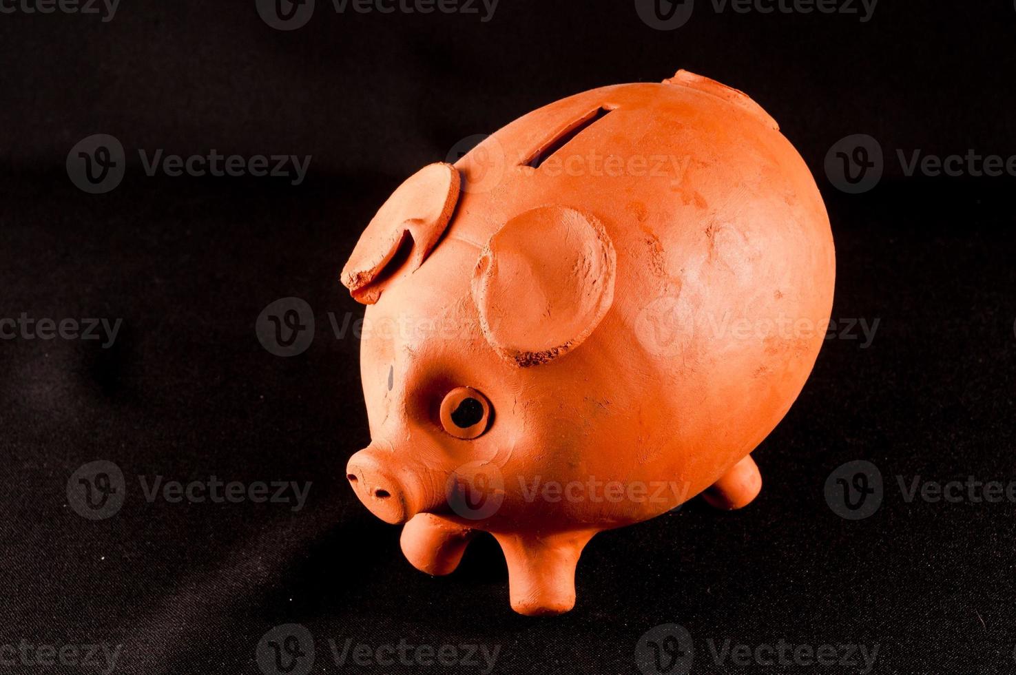 Piggy bank isolated photo
