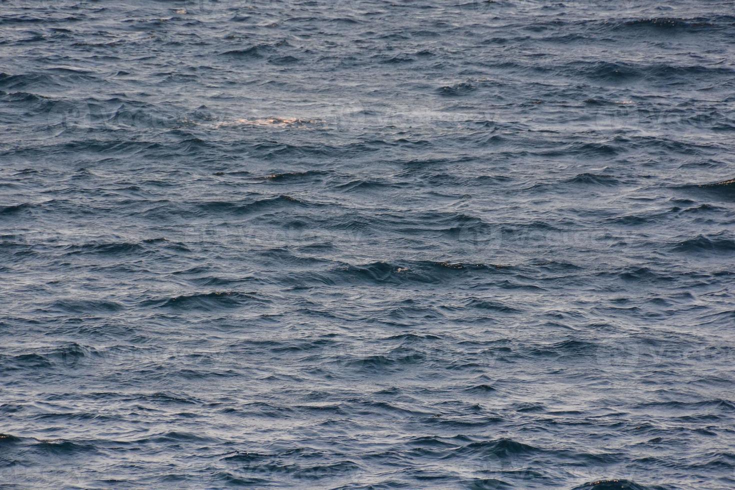 Waves in the ocean photo
