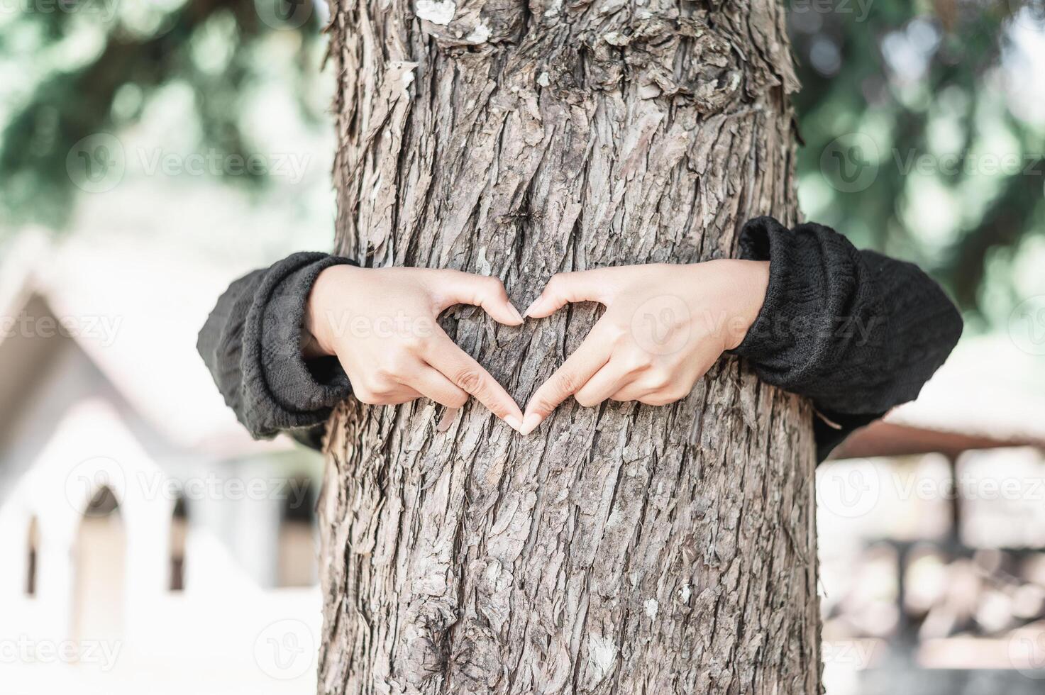 Young woman hug a tree in the forest and show a sign of heart and love for nature photo