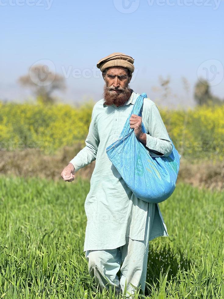 Pakistan farmer spreading fertilizer in the agriculture field photo