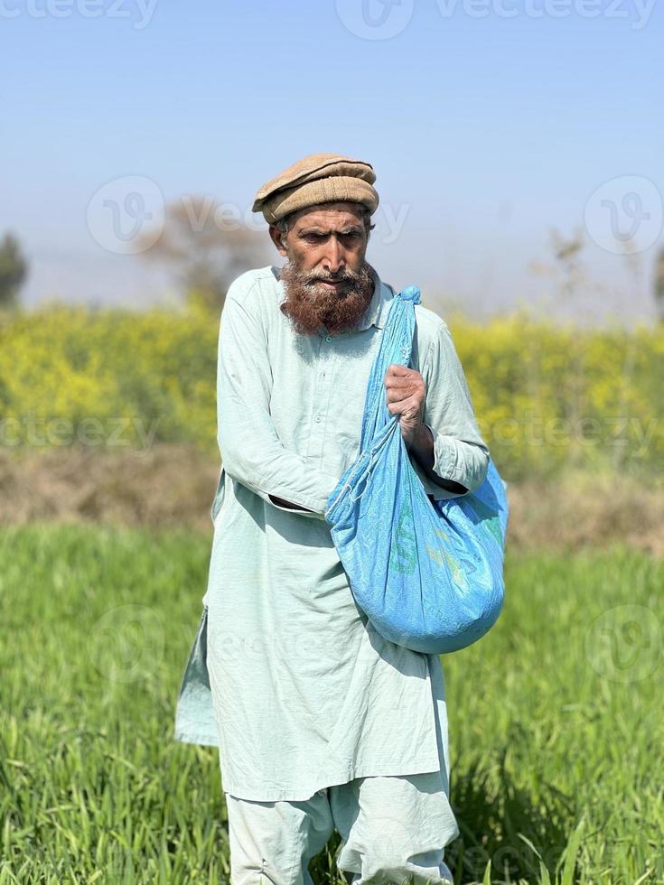 Pakistan farmer spreading fertilizer in the agriculture field photo
