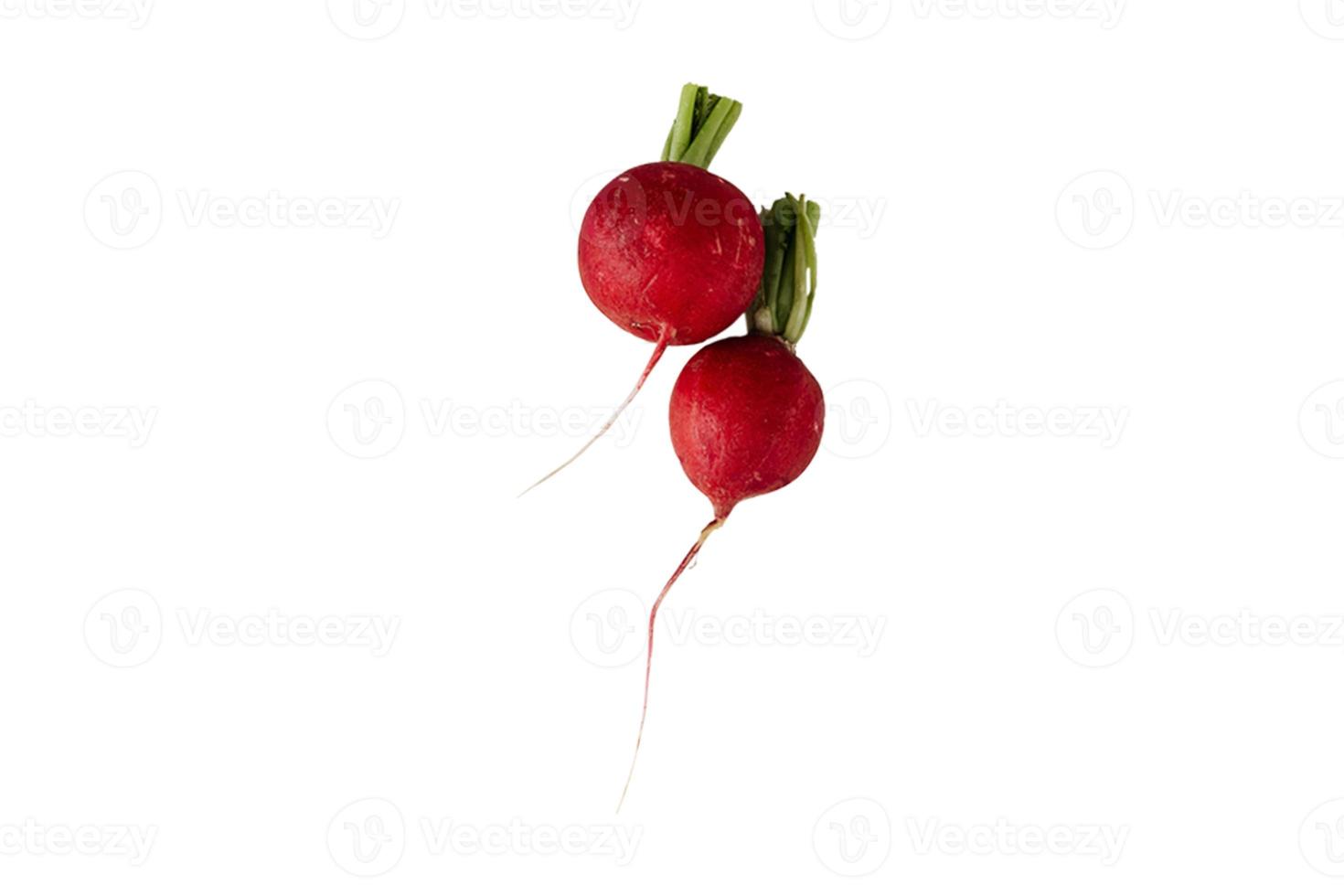 1340 Two radishes isolated on a transparent background photo