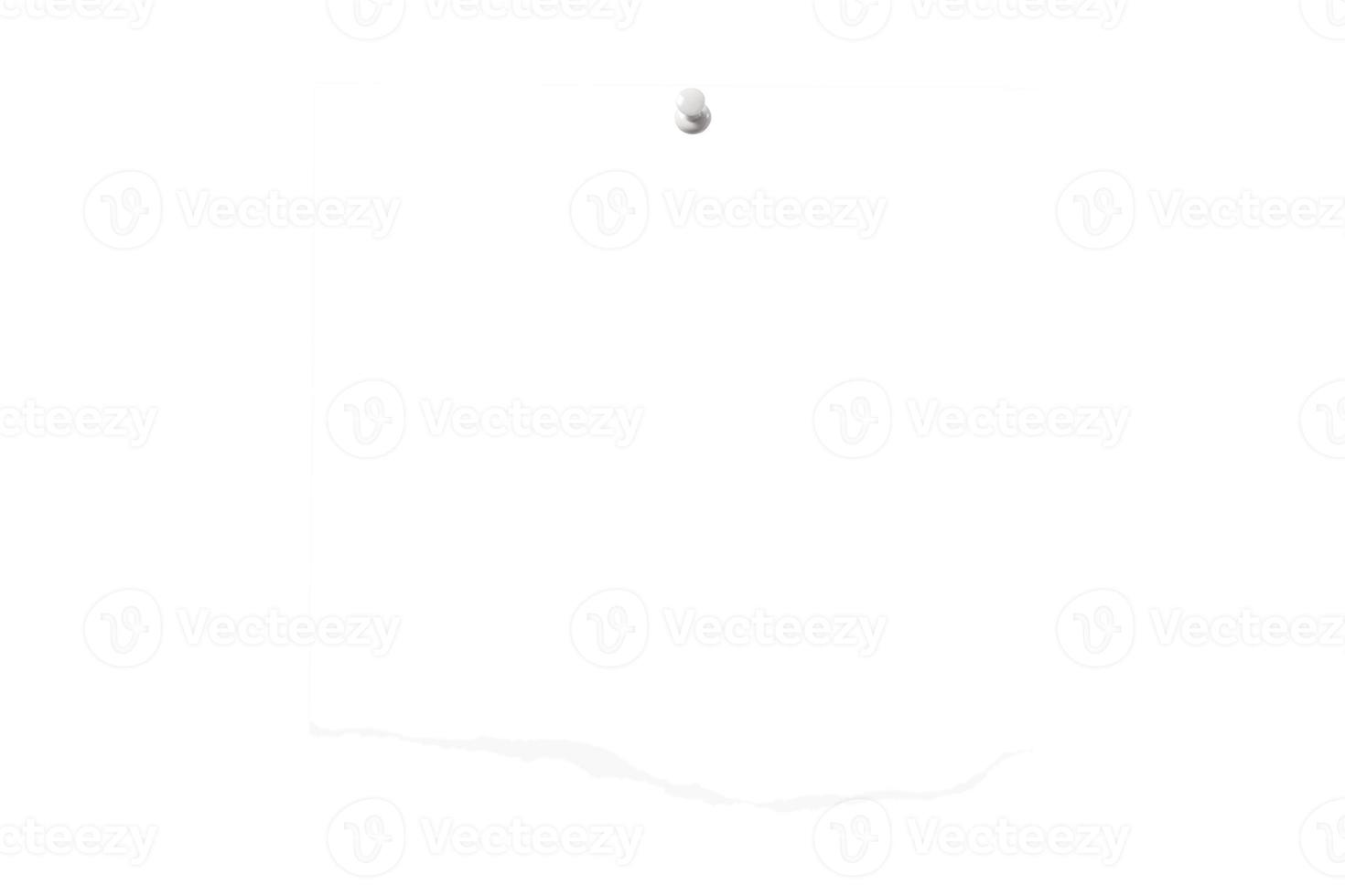 1243 White photo isolated on a transparent background