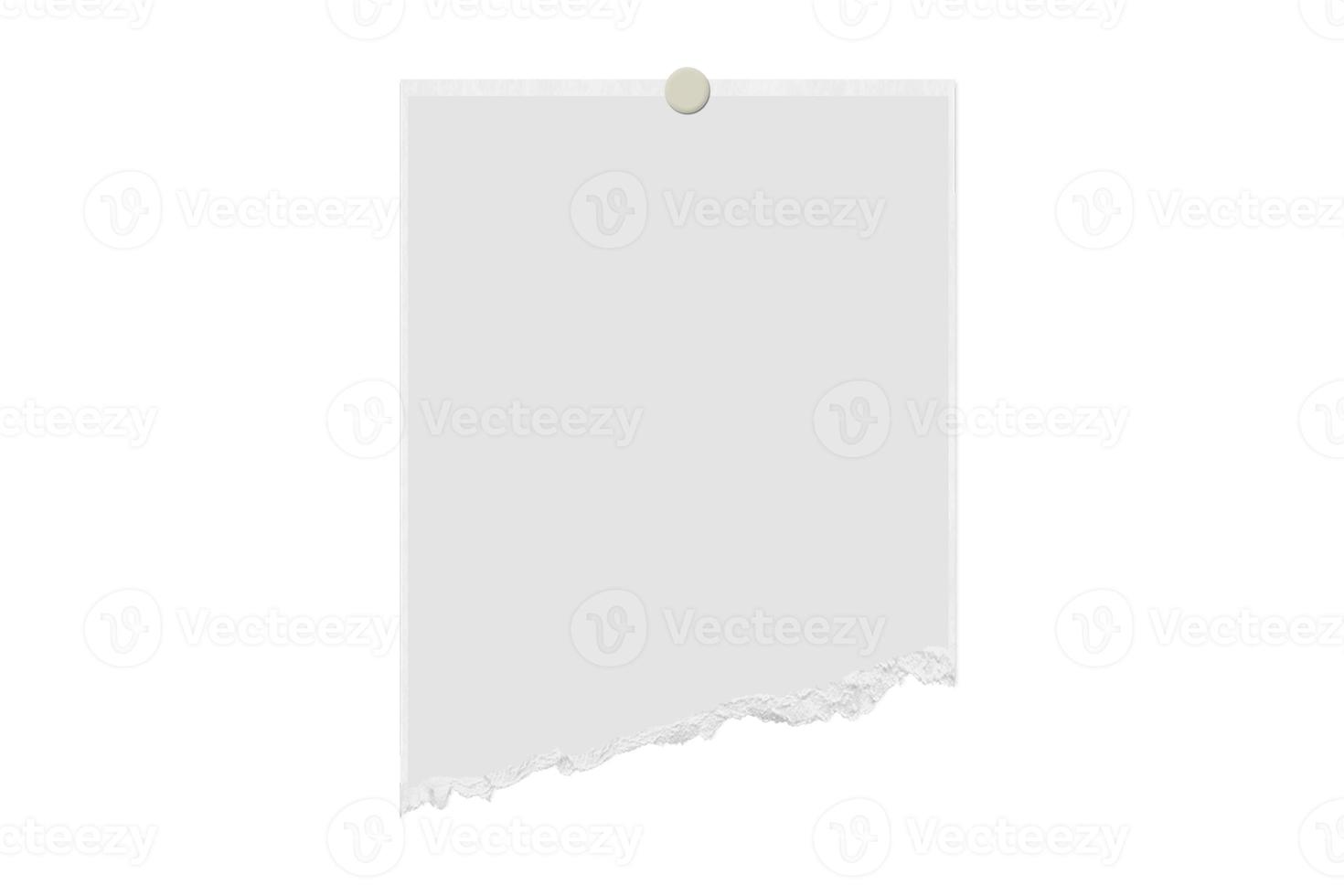 1250 White torn paper isolated on a transparent background photo