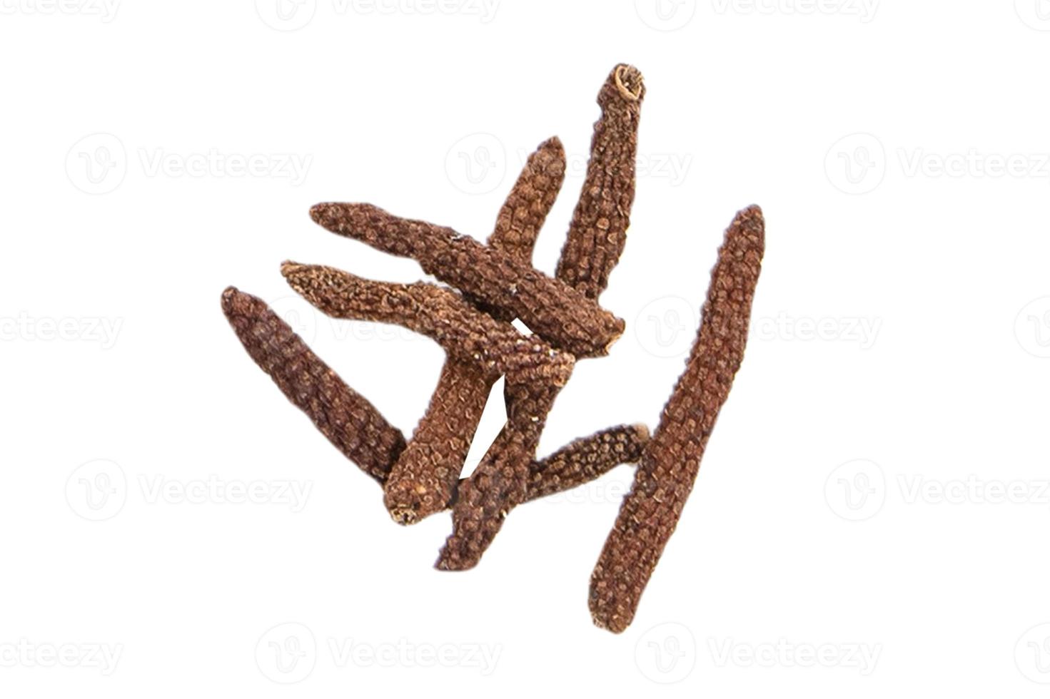 3226 Long pepper isolated on a transparent background photo
