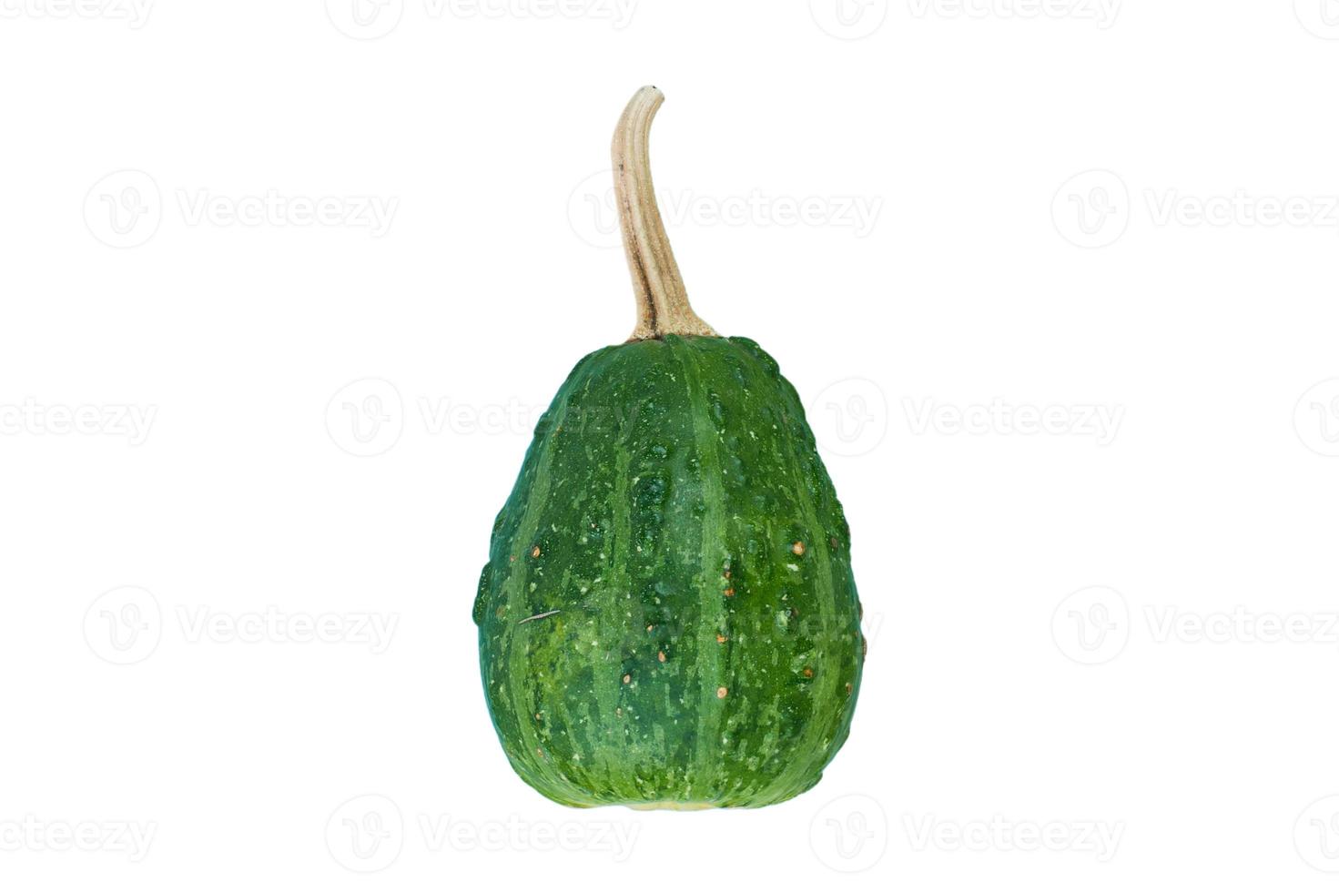 3350 Green pumpkin isolated on a transparent background photo