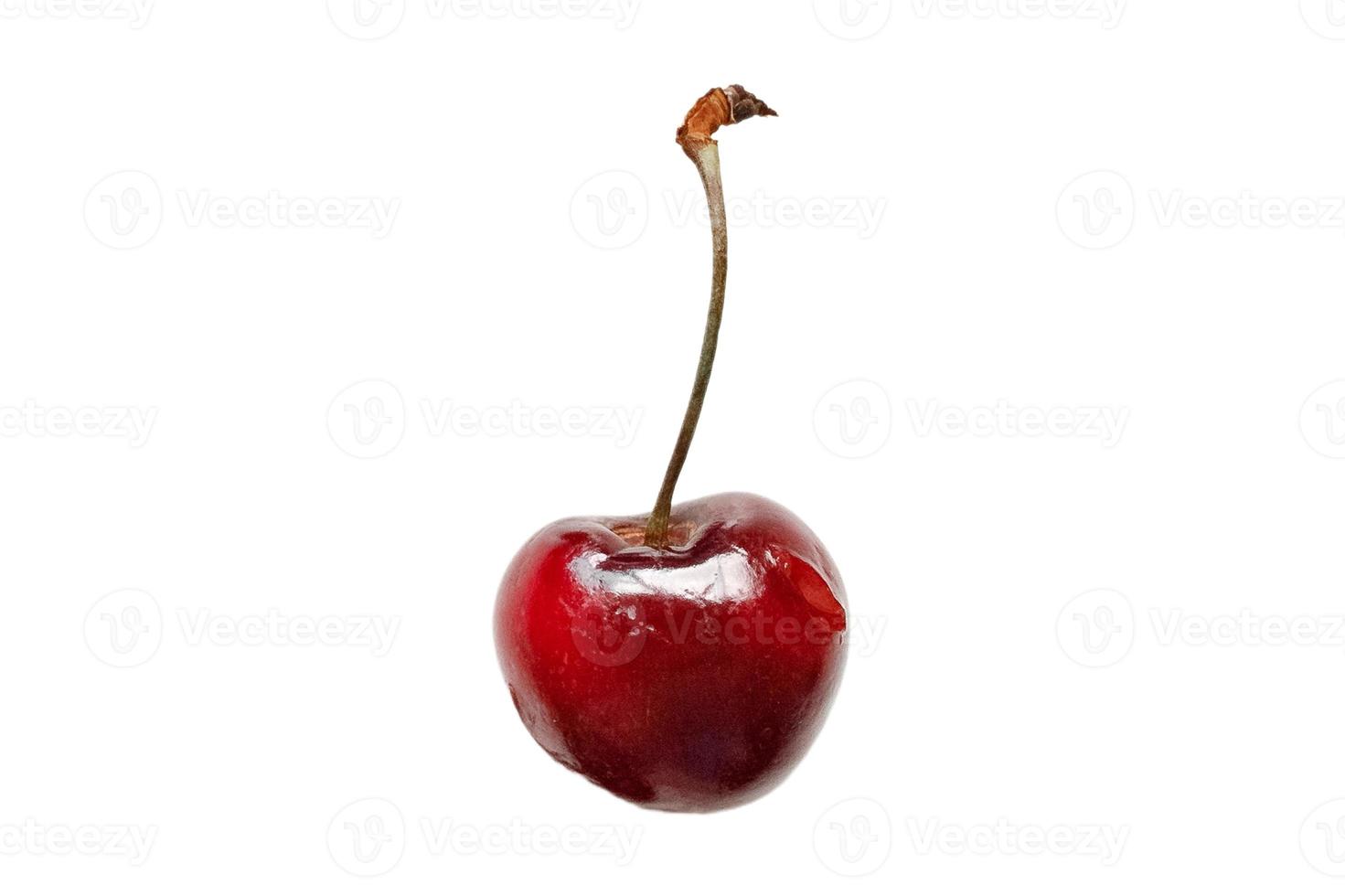 3538 Red cherry isolated on a transparent background photo