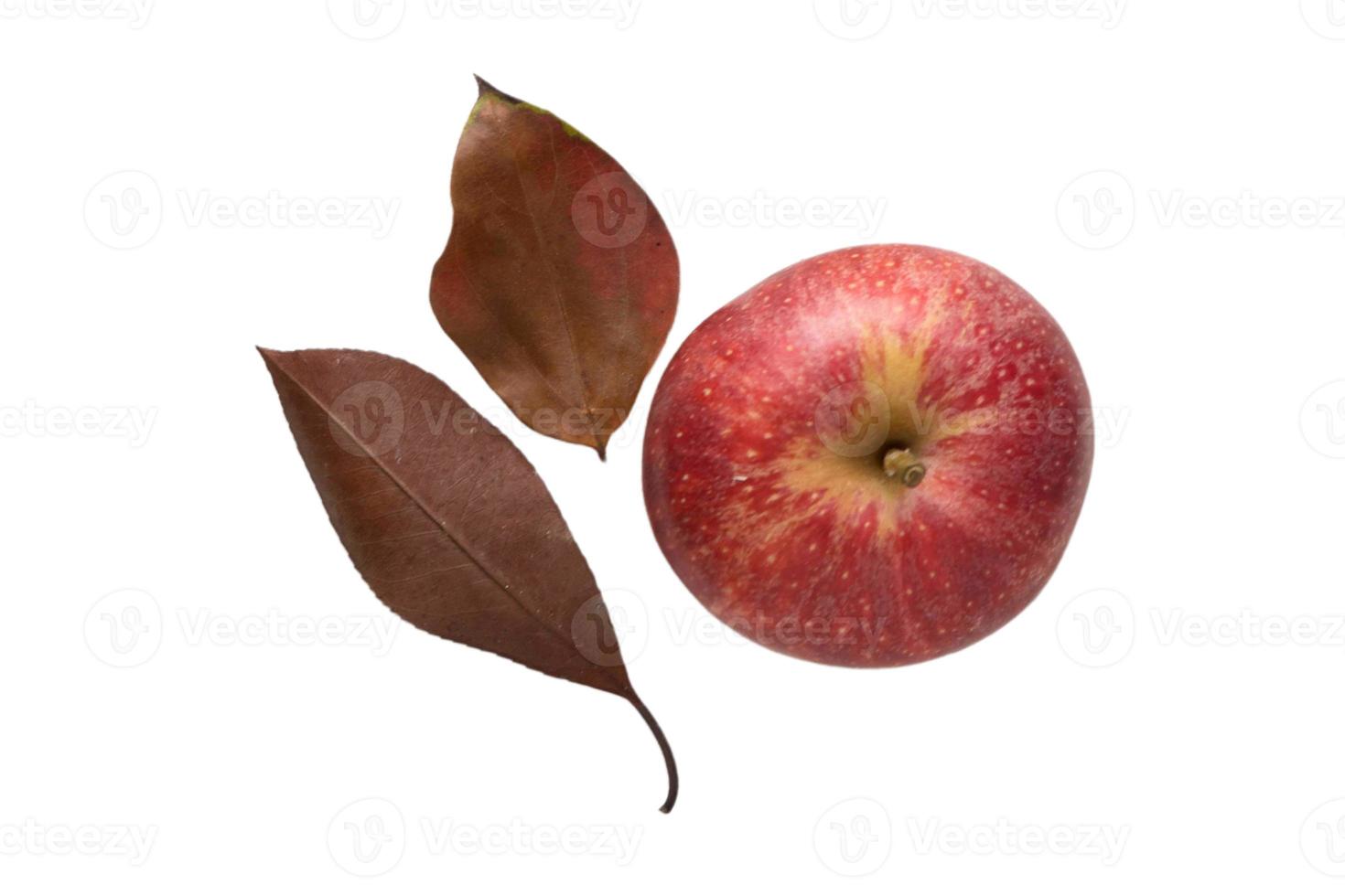 3765 Dried leaves and fresh red apple isolated on a transparent background photo