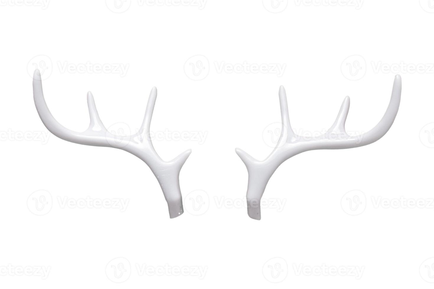 4714 White horns isolated on a transparent background photo
