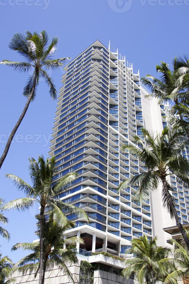 Honolulu Downtown Skyscraper With Palms photo