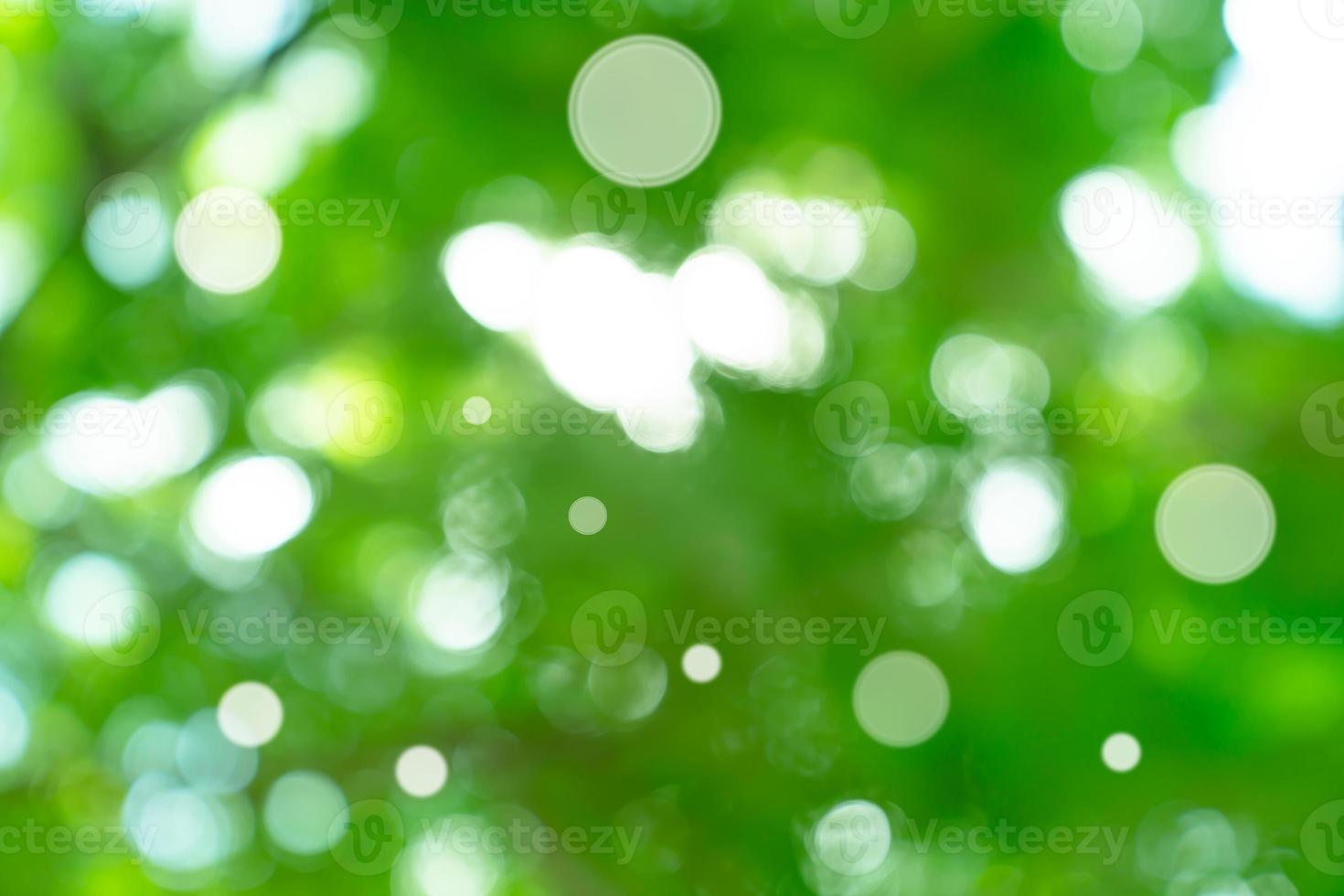 Bokeh de fondo abstracto verde natural, textura borrosa foto