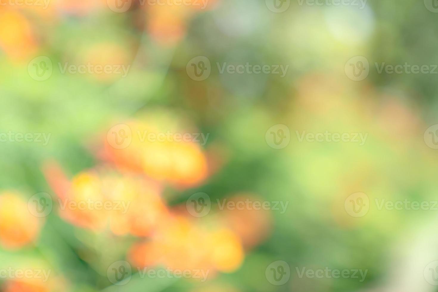 natural orange green bokeh abstract background,blurred textured photo