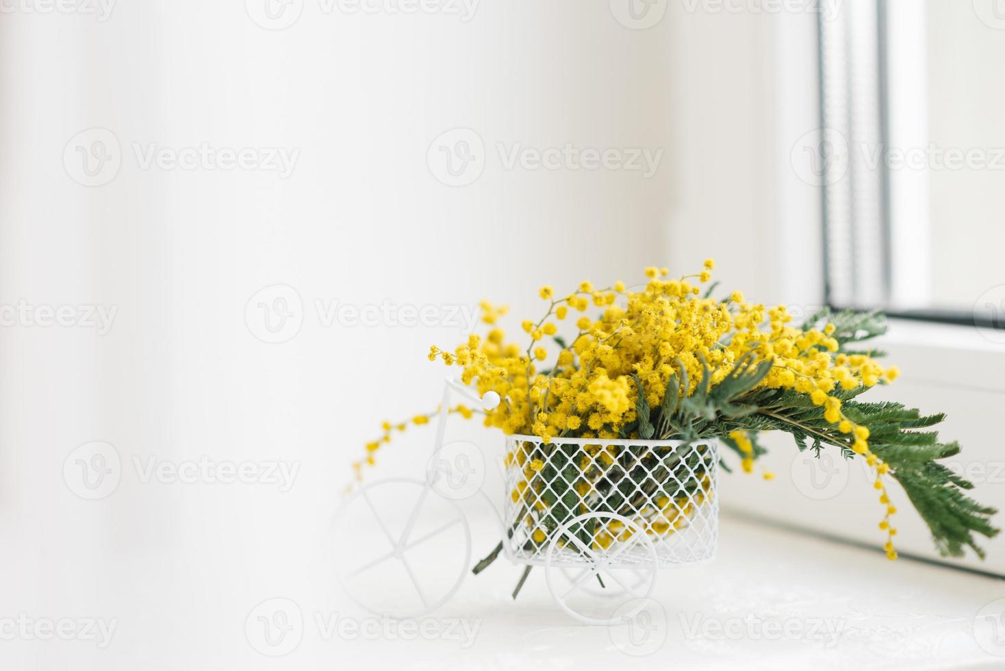 Small sprigs of mimosa stand in a souvenir bicycle in the style of Provence on a white windowsill in spring. The concept of the beginning of spring photo