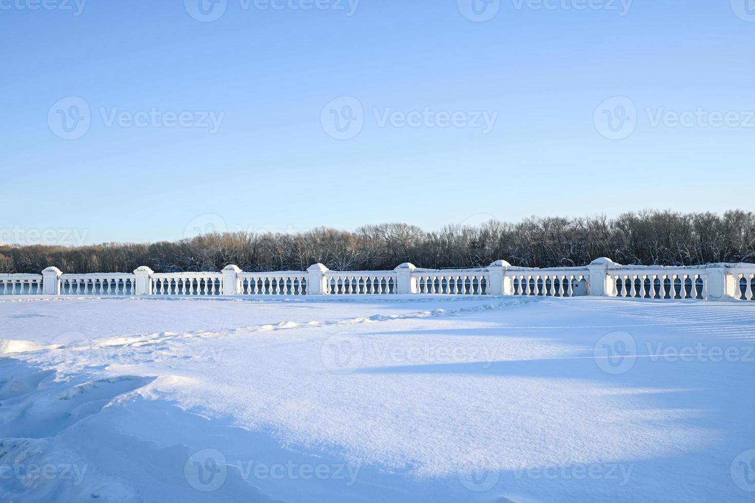 Winter snow-covered Christmas scene with a pine tree. Spruce large branches covered with frost. Calm blurred background of winter time with flakes of snow. photo
