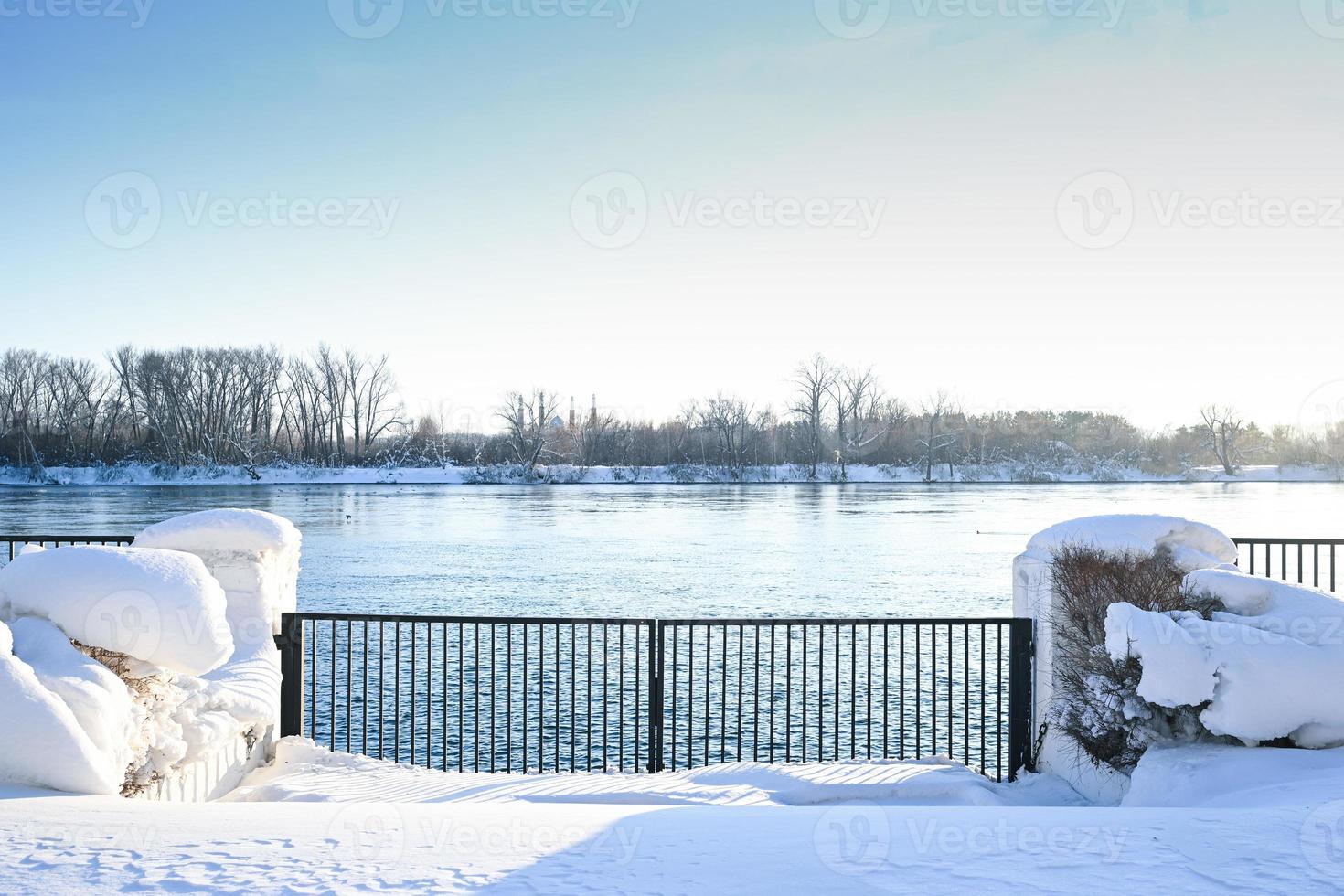 Winter snow-covered Christmas scene with a pine tree. Spruce large branches covered with frost. Calm blurred background of winter time with flakes of snow. photo