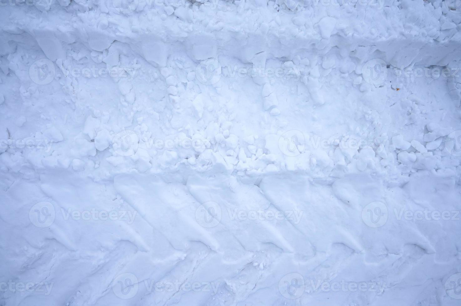 Winter snow-covered Christmas scene with a pine tree. Spruce large branches covered with frost. Calm blurred background of winter time with flakes of snow. photo