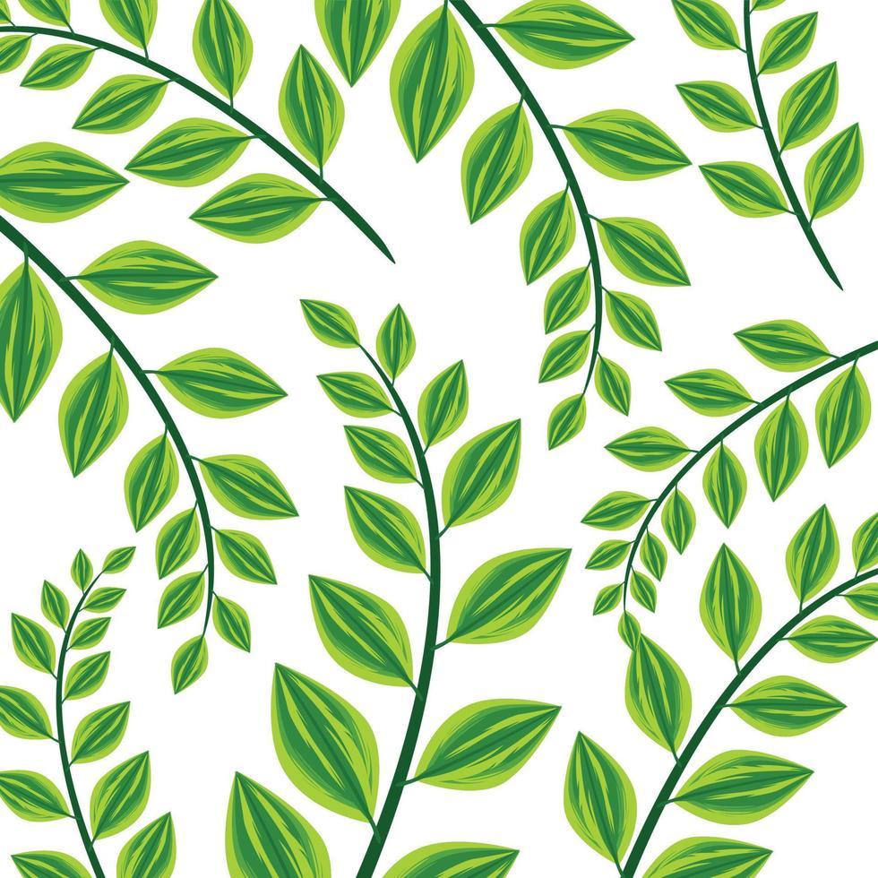 Vector abstract green leaf background